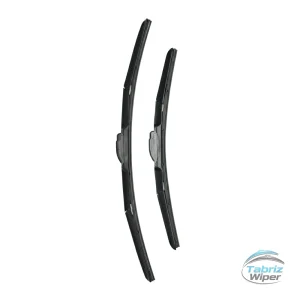 برف پاک کن خودرو دنا